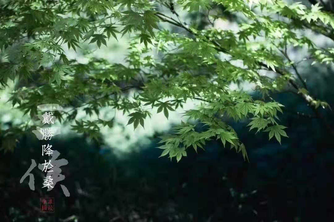 ʫͼ.jpg